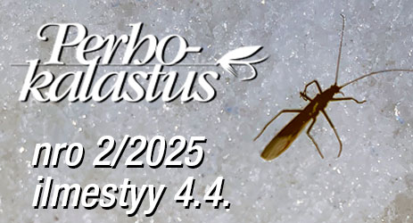 seuraava_pk_1-2025