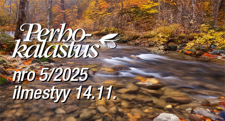 seuraava_pk_3-2025
