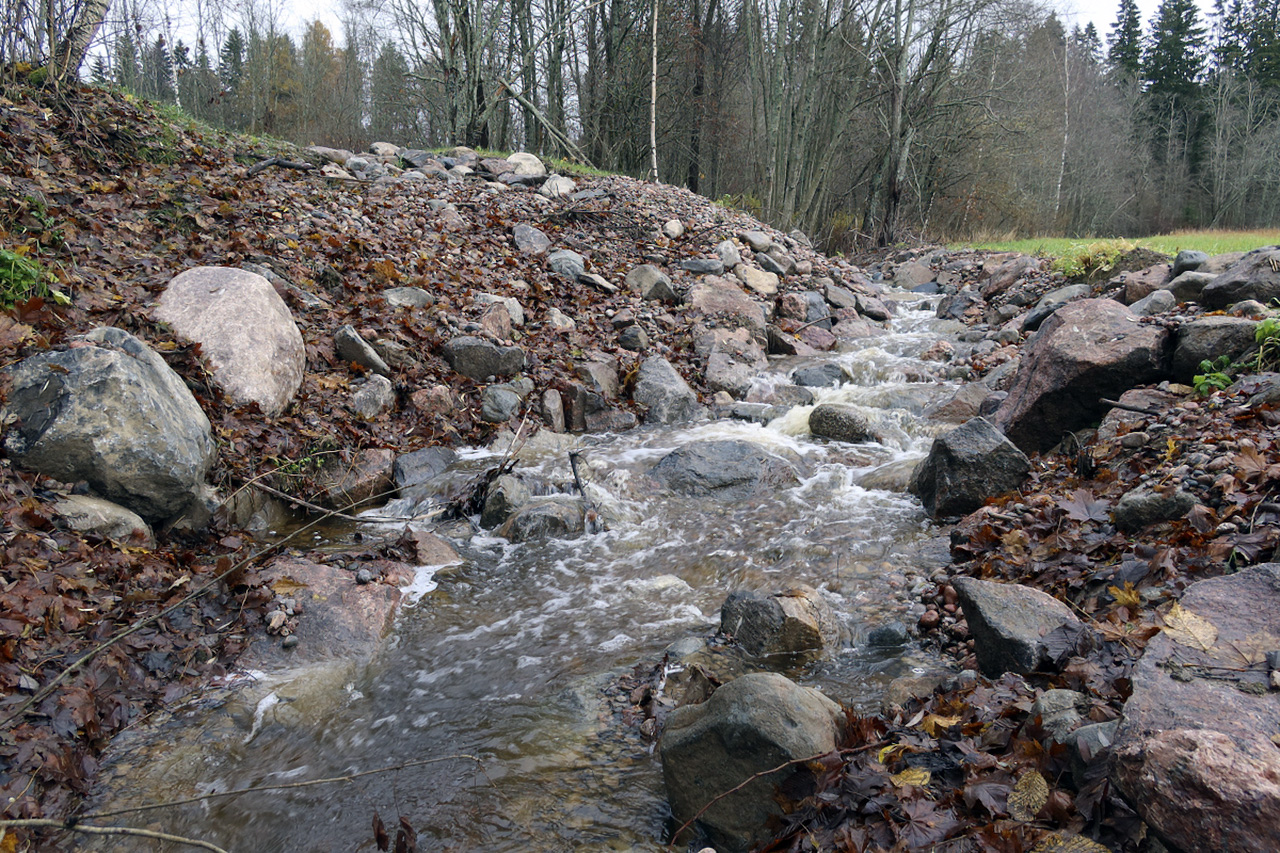 Vanhan patoaltaan ohittava uoma muotoiltiin niin että se mahdollistaa kalojen vaelluksen. Kuva: Aki Janatuinen