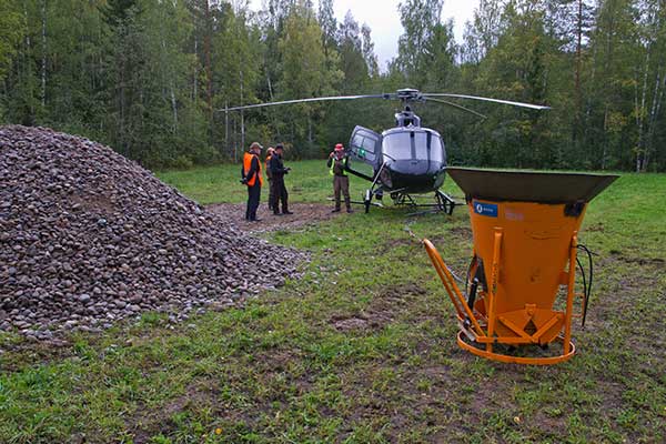 Helikopteri on apuna soran kuljetuksessa Viitasaarella. Vastaavia operaatiota on luvassa pian alkavana vuonna kymmenillä koskilla. Lohikalat saavat kutualueita ja pystyvät lisääntymään vanhoilla kotijoillaan. Kuva: Markku Pirttimaa