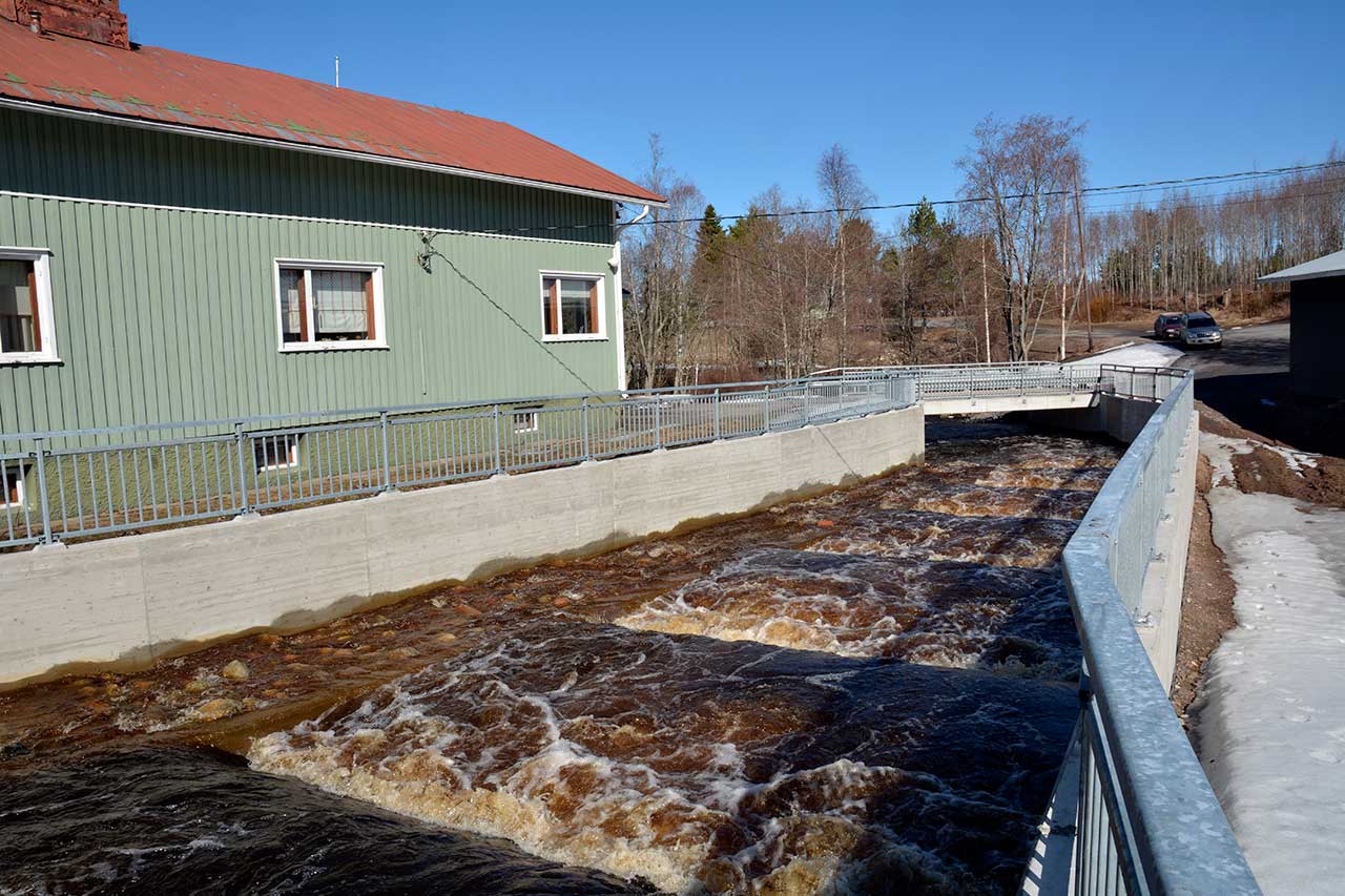 Padon poistaminen Isojoen Villamosta on avannut taimenien vaellusyhteydet Isojoen latvapuroille asti ja laajentanut merkittävästi merivaelteisen taimenen poikastuotantoalueiden määrää. Kuva: Panu Orell/Luke