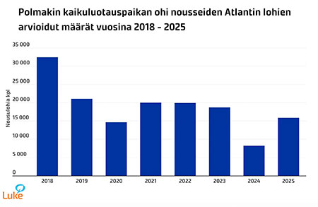 Polmakin kaikuluotauspaikan ohi nousseiden Atlantin lohien arvioidut määrät vuosina 2018-2025. Kuvaa klikkaamalla pääset tarkastelemaan graafia tarkemmin.
