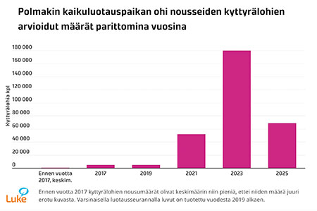 Polmakin kaikuluotauspaikan ohi nousseiden kyttyrälohien arvioidut määrät parittomina vuosina. Kuvaa klikkaamalla pääset tarkastelemaan graafia tarkemmin.