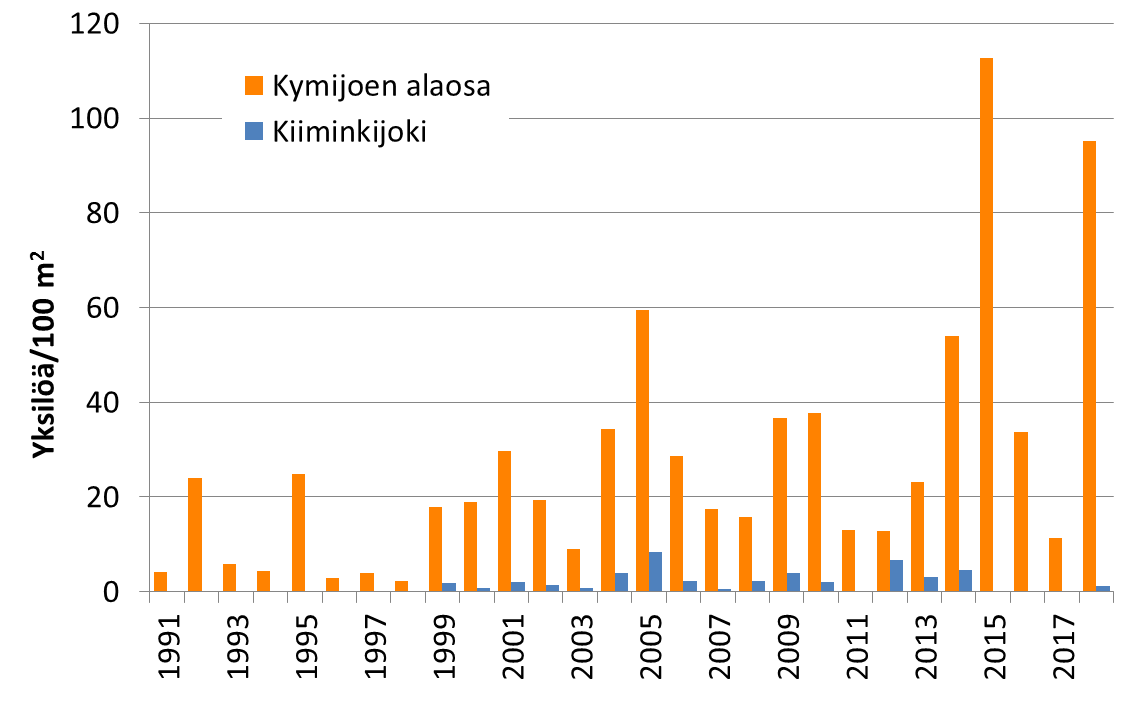 Kymijoen alaosassa on havaittu toisinaan suurempia kesänvanhojen lohenpoikasten tiheyksiä kuin Tornion- ja Simojoella, mutta vuosittainen vaihtelu on suurta. Kiiminkijoella poikastiheydet ovat pieniä. Kymijoella säännöllinen poikastiheyksien seuranta aloitettiin vuonna 1991. Kiiminkijoella seuranta aloitettiin vuonna 1999 (vuosina 2015–2017 siellä ei koekalastettu).